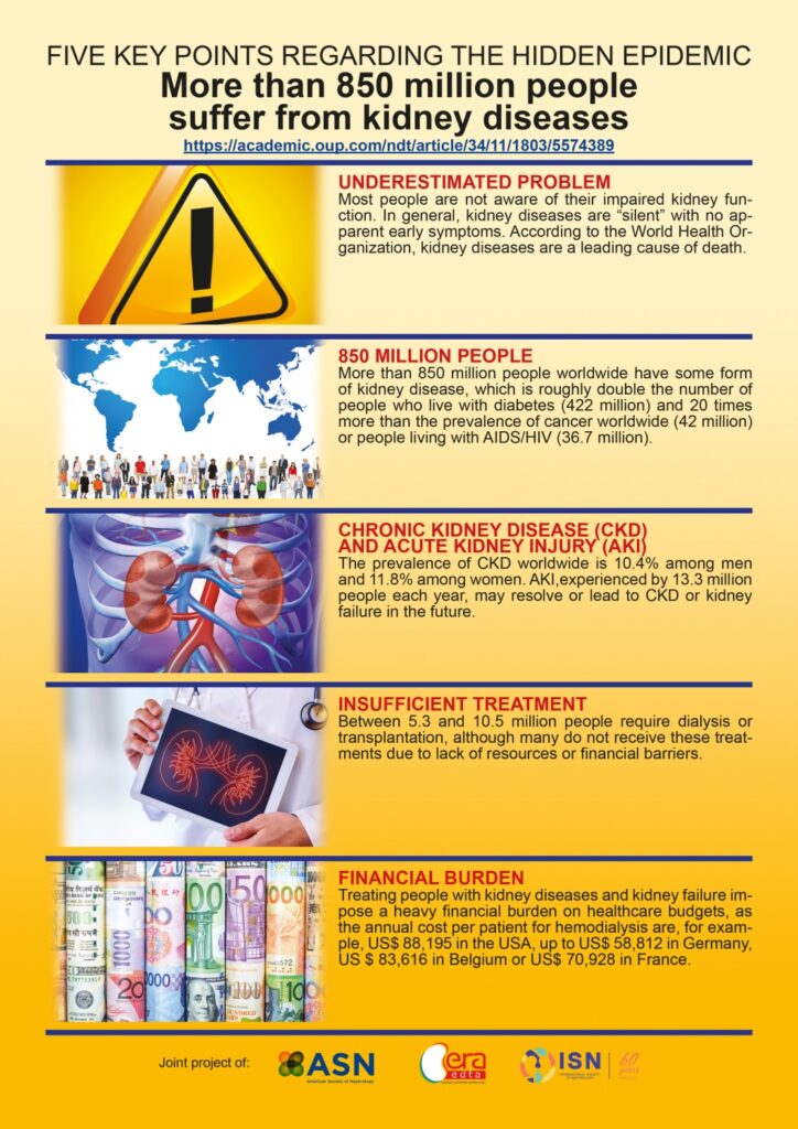 Infographic kidney disease